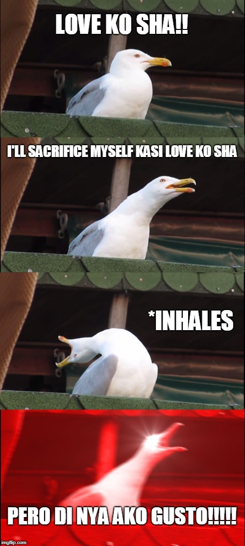 Inhaling Seagull Meme | LOVE KO SHA!! I'LL SACRIFICE MYSELF KASI LOVE KO SHA; *INHALES; PERO DI NYA AKO GUSTO!!!!! | image tagged in memes,inhaling seagull | made w/ Imgflip meme maker