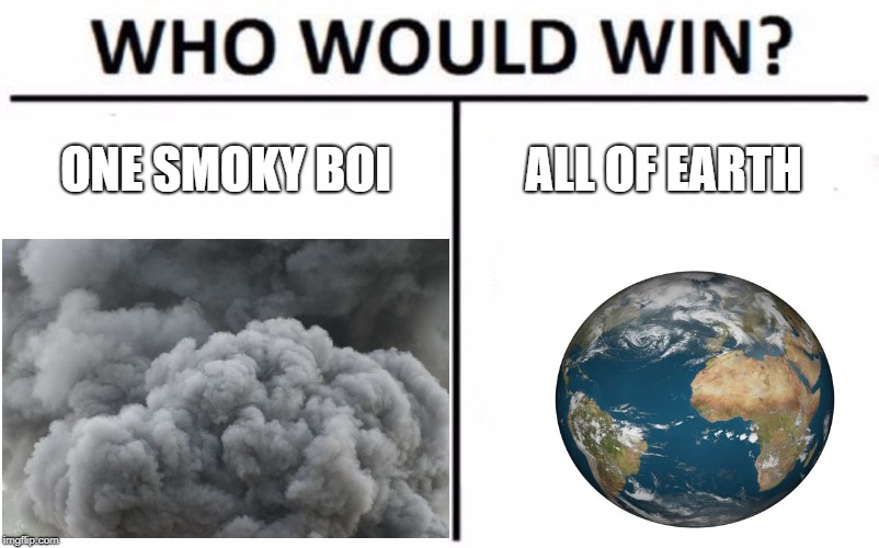 Who Would Win | ONE SMOKY BOI; ALL OF EARTH | image tagged in who would win | made w/ Imgflip meme maker