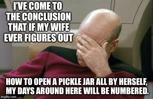 Captain Picard Facepalm Meme | I’VE COME TO THE CONCLUSION THAT IF MY WIFE EVER FIGURES OUT; HOW TO OPEN A PICKLE JAR ALL BY HERSELF, MY DAYS AROUND HERE WILL BE NUMBERED. | image tagged in memes,captain picard facepalm | made w/ Imgflip meme maker