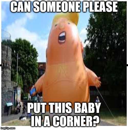 CAN SOMEONE PLEASE; PUT THIS BABY IN A CORNER? | image tagged in trump,baby in a corner,trump baby balloon | made w/ Imgflip meme maker