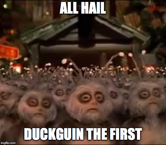 All Hail Rohan | ALL HAIL DUCKGUIN THE FIRST | image tagged in all hail rohan | made w/ Imgflip meme maker