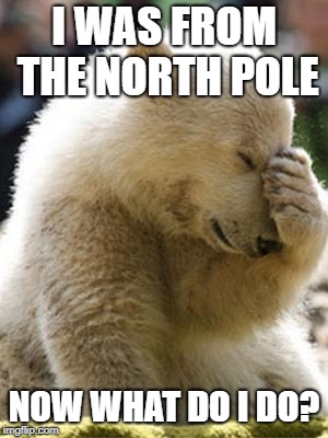 Mandela Effected Geography | I WAS FROM THE NORTH POLE; NOW WHAT DO I DO? | image tagged in memes,facepalm bear,mandela effect,memories,climate change,ice cap | made w/ Imgflip meme maker