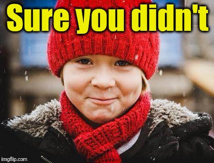 smirk | Sure you didn't | image tagged in smirk | made w/ Imgflip meme maker