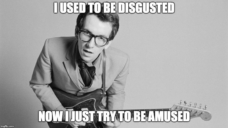 This is my opinion regarding all American politics | I USED TO BE DISGUSTED; NOW I JUST TRY TO BE AMUSED | image tagged in elvis costello,politics,political meme | made w/ Imgflip meme maker