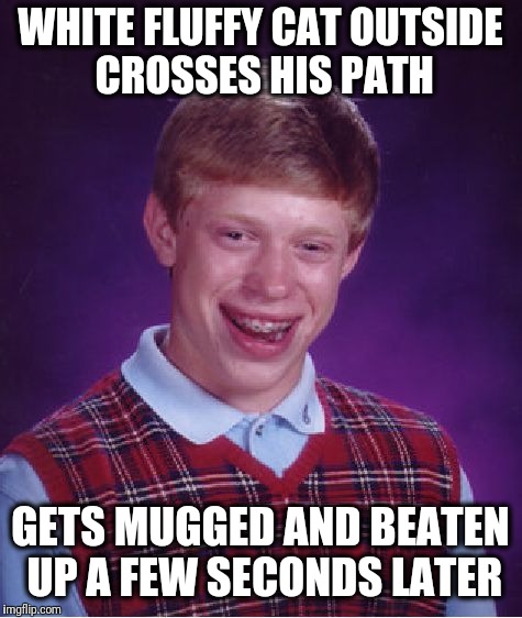 Bad Luck Brian Meme | WHITE FLUFFY CAT OUTSIDE CROSSES HIS PATH GETS MUGGED AND BEATEN UP A FEW SECONDS LATER | image tagged in memes,bad luck brian | made w/ Imgflip meme maker