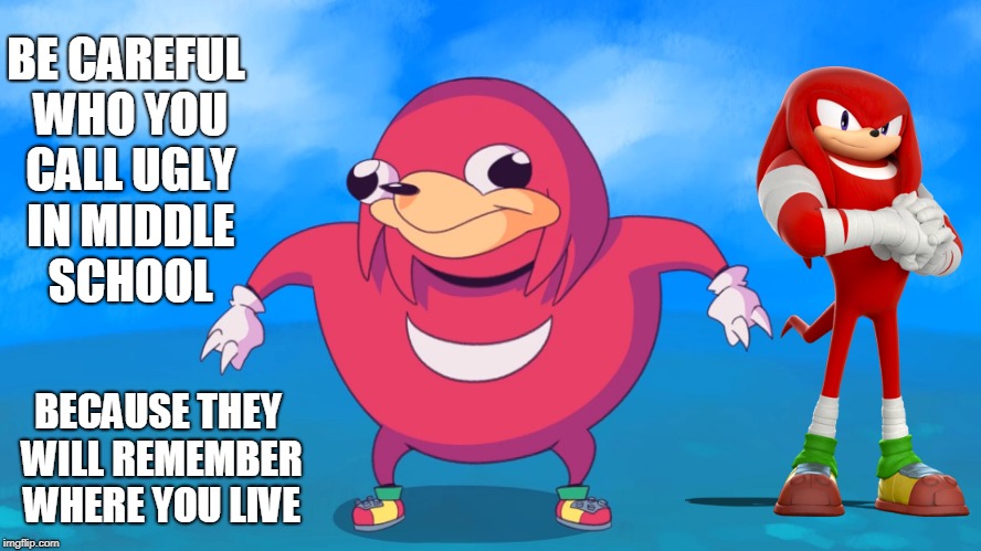 Do you know da wae? | BE CAREFUL WHO YOU CALL UGLY IN MIDDLE SCHOOL; BECAUSE THEY WILL REMEMBER WHERE YOU LIVE | image tagged in do you know da wae | made w/ Imgflip meme maker