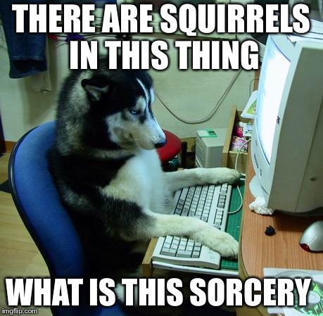 I Have No Idea What I Am Doing | THERE ARE SQUIRRELS IN THIS THING; WHAT IS THIS SORCERY | image tagged in memes,i have no idea what i am doing | made w/ Imgflip meme maker