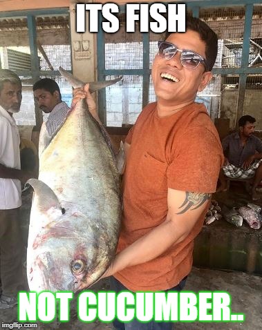 big fish  | ITS FISH; NOT CUCUMBER.. | image tagged in bigfish,fishing,cooking,fish,laughing,chef | made w/ Imgflip meme maker