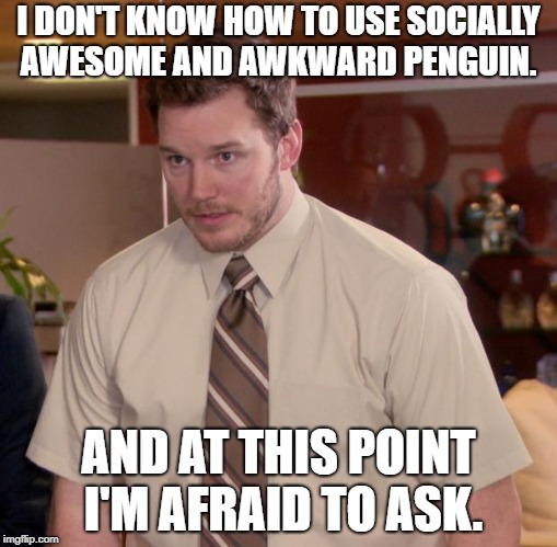 Afraid To Ask Andy Meme | I DON'T KNOW HOW TO USE SOCIALLY AWESOME AND AWKWARD PENGUIN. AND AT THIS POINT I'M AFRAID TO ASK. | image tagged in memes,afraid to ask andy | made w/ Imgflip meme maker