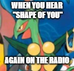 A Haleighleaf request | WHEN YOU HEAR "SHAPE OF YOU"; AGAIN ON THE RADIO | image tagged in inigo sceptile,ed sheeran,music,pop music,angry,pokemon | made w/ Imgflip meme maker