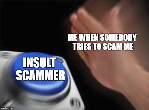 Blank Nut Button Meme | ME WHEN SOMEBODY TRIES TO SCAM ME; INSULT SCAMMER | image tagged in memes,blank nut button | made w/ Imgflip meme maker