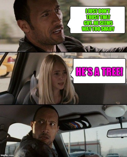 Treemale | I JUST DON'T TRUST THAT GUY. HE SEEMS WAY TOO SHADY; HE'S A TREE! | image tagged in memes,the rock driving,shady,tree,trees,happy little trees | made w/ Imgflip meme maker