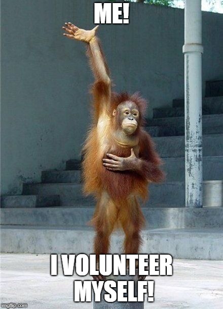 Monkey Raising Hand | ME! I VOLUNTEER MYSELF! | image tagged in monkey raising hand | made w/ Imgflip meme maker
