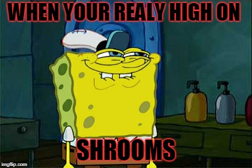 Don't You Squidward Meme | WHEN YOUR REALY HIGH ON; SHROOMS | image tagged in memes,dont you squidward | made w/ Imgflip meme maker