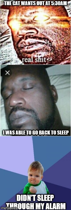 THE CAT WANTS OUT AT 5:30AM; I WAS ABLE TO GO BACK TO SLEEP; DIDN'T SLEEP THROUGH MY ALARM | image tagged in stupid cat | made w/ Imgflip meme maker