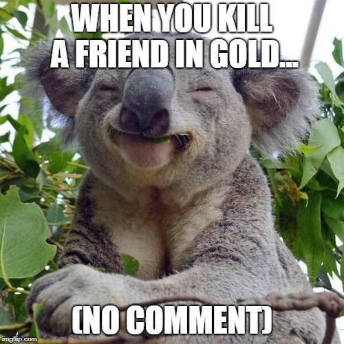 Smiling Koala | WHEN YOU KILL A FRIEND IN GOLD... (NO COMMENT) | image tagged in smiling koala | made w/ Imgflip meme maker