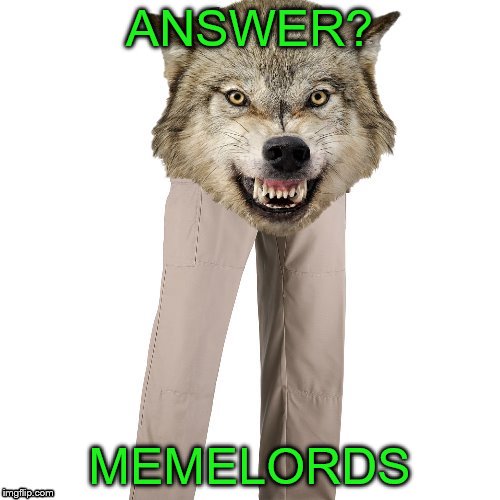 ANSWER? MEMELORDS | made w/ Imgflip meme maker