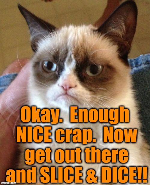Grumpy Cat Meme | Okay.  Enough NICE crap.  Now get out there and SLICE & DICE!! | image tagged in memes,grumpy cat | made w/ Imgflip meme maker