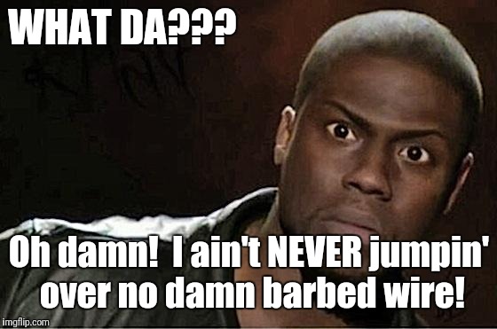 Kevin Hart Meme | WHAT DA??? Oh damn!  I ain't NEVER jumpin' over no damn barbed wire! | image tagged in memes,kevin hart | made w/ Imgflip meme maker