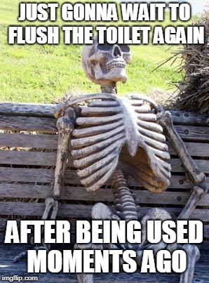 2 and A Half Flushes | JUST GONNA WAIT TO FLUSH THE TOILET AGAIN; AFTER BEING USED MOMENTS AGO | image tagged in memes,waiting skeleton,funny,toilets,jokes | made w/ Imgflip meme maker