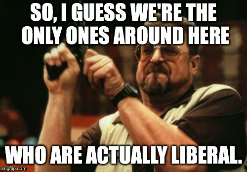 Am I The Only One Around Here Meme | SO, I GUESS WE'RE THE ONLY ONES AROUND HERE WHO ARE ACTUALLY LIBERAL. | image tagged in memes,am i the only one around here | made w/ Imgflip meme maker