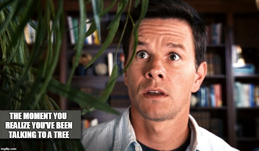 THE MOMENT YOU REALIZE YOU'VE BEEN TALKING TO A TREE | made w/ Imgflip meme maker