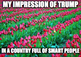 MY IMPRESSION OF TRUMP; IN A COUNTRY FULL OF SMART PEOPLE | image tagged in donald trump | made w/ Imgflip meme maker