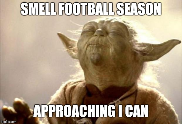 yoda smell | SMELL FOOTBALL SEASON; APPROACHING I CAN | image tagged in yoda smell | made w/ Imgflip meme maker