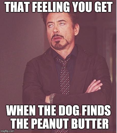 Good to the last nut! | THAT FEELING YOU GET; WHEN THE DOG FINDS THE PEANUT BUTTER | image tagged in memes,face you make robert downey jr,peanut butter,nsfw | made w/ Imgflip meme maker