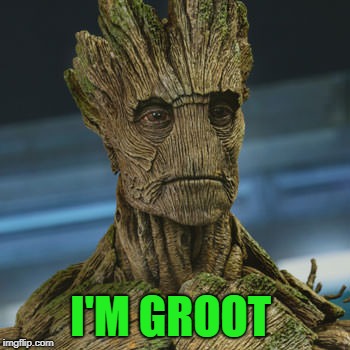 I am Groot | I'M GROOT | image tagged in i am groot | made w/ Imgflip meme maker