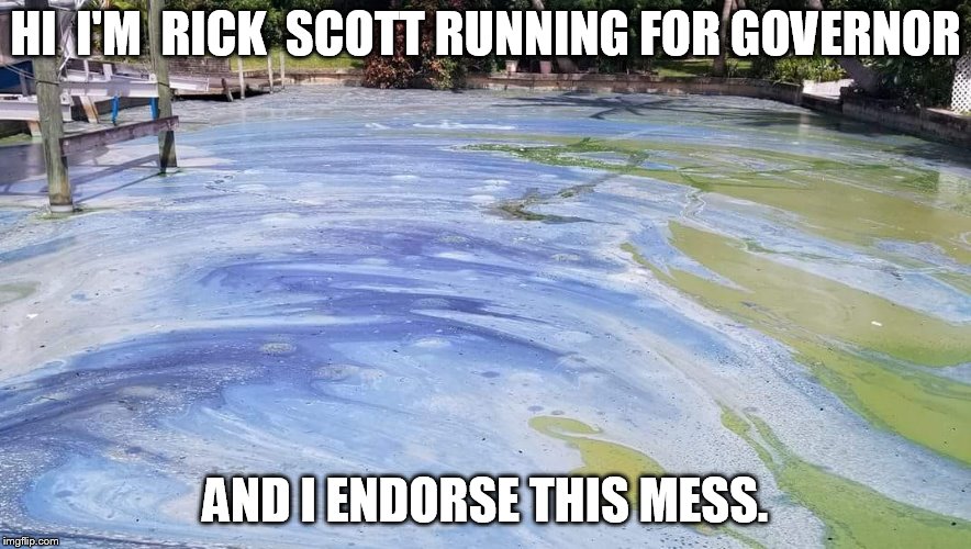 hi i''m rick scott | HI  I'M  RICK  SCOTT RUNNING FOR GOVERNOR; AND I ENDORSE THIS MESS. | image tagged in memes | made w/ Imgflip meme maker