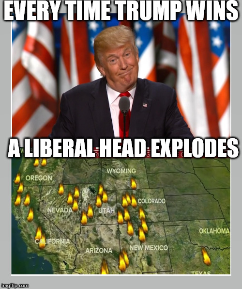 EVERY TIME TRUMP WINS; A LIBERAL HEAD EXPLODES | made w/ Imgflip meme maker