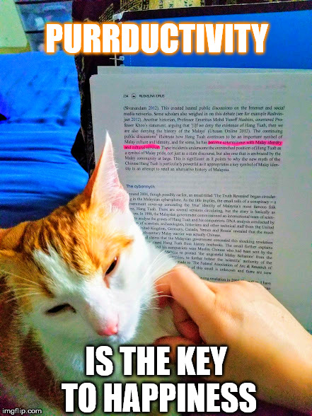 PURRDUCTIVITY; IS THE KEY TO HAPPINESS | image tagged in purrductivity | made w/ Imgflip meme maker