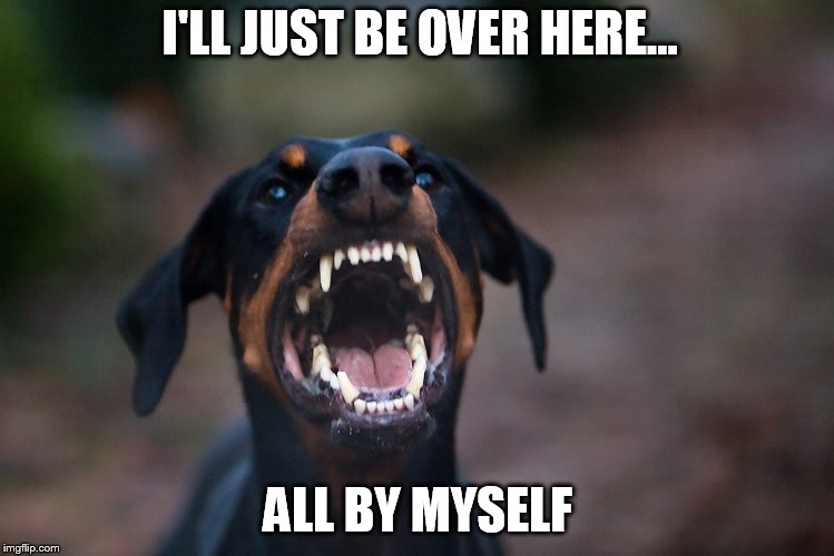 angry doberman |  I'LL JUST BE OVER HERE... ALL BY MYSELF | image tagged in angry doberman | made w/ Imgflip meme maker