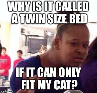 Wut? | WHY IS IT CALLED A TWIN SIZE BED; IF IT CAN ONLY FIT MY CAT? | image tagged in wut | made w/ Imgflip meme maker