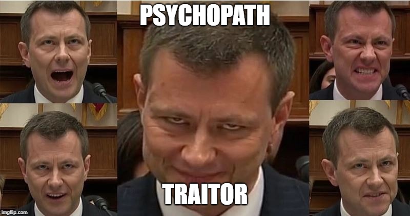PSYCHOPATH; TRAITOR | image tagged in psychopath,peter strzok | made w/ Imgflip meme maker