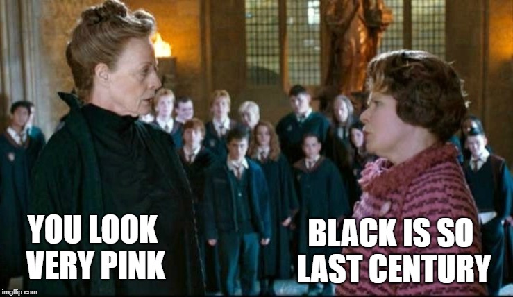 The true conversation between McGonagall and Umbridge | BLACK IS SO LAST CENTURY; YOU LOOK VERY PINK | image tagged in harry potter,minerva mcgonagall,mcgonagall,dolores umbridge,umbridge,hogwarts | made w/ Imgflip meme maker