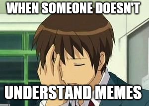 anime | WHEN SOMEONE DOESN'T; UNDERSTAND MEMES | image tagged in anime | made w/ Imgflip meme maker