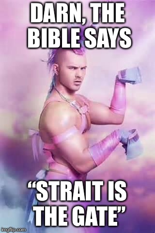 Gay Unicorn | DARN, THE BIBLE SAYS “STRAIT IS THE GATE” | image tagged in gay unicorn | made w/ Imgflip meme maker