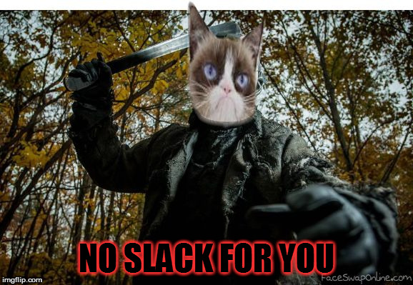 grumpy cat jason | NO SLACK FOR YOU | image tagged in grumpy cat jason | made w/ Imgflip meme maker