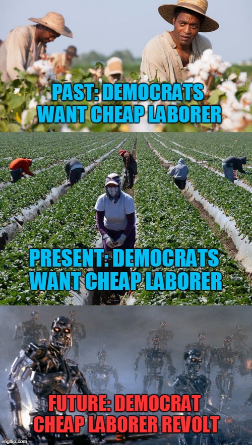Future of Humanity Doesn't Look So Good | PAST: DEMOCRATS WANT CHEAP LABORER; PRESENT: DEMOCRATS WANT CHEAP LABORER; FUTURE: DEMOCRAT CHEAP LABORER REVOLT | image tagged in cheap laborer,skynet,robot rebellion | made w/ Imgflip meme maker