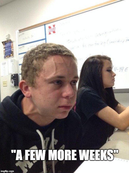 Hold fart | "A FEW MORE WEEKS" | image tagged in hold fart | made w/ Imgflip meme maker