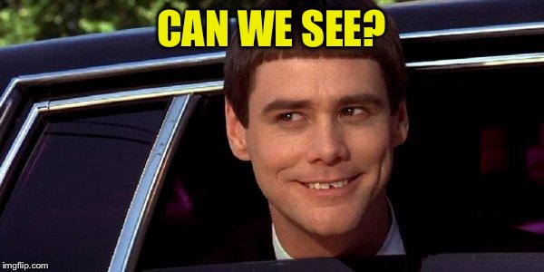 dumb and dumber | CAN WE SEE? | image tagged in dumb and dumber | made w/ Imgflip meme maker