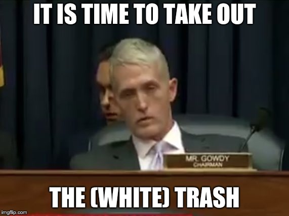 IT IS TIME TO TAKE OUT; THE (WHITE) TRASH | image tagged in trey gowdy | made w/ Imgflip meme maker