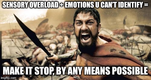Sparta Leonidas Meme | SENSORY OVERLOAD + EMOTIONS U CAN’T IDENTIFY =; MAKE IT STOP, BY ANY MEANS POSSIBLE | image tagged in memes,sparta leonidas | made w/ Imgflip meme maker