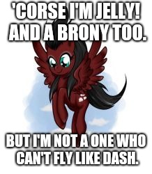 'CORSE I'M JELLY! AND A BRONY TOO. BUT I'M NOT A ONE WHO CAN'T FLY LIKE DASH. | made w/ Imgflip meme maker