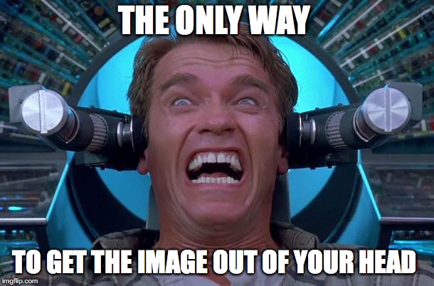 THE ONLY WAY TO GET THE IMAGE OUT OF YOUR HEAD | image tagged in arnie total recall | made w/ Imgflip meme maker