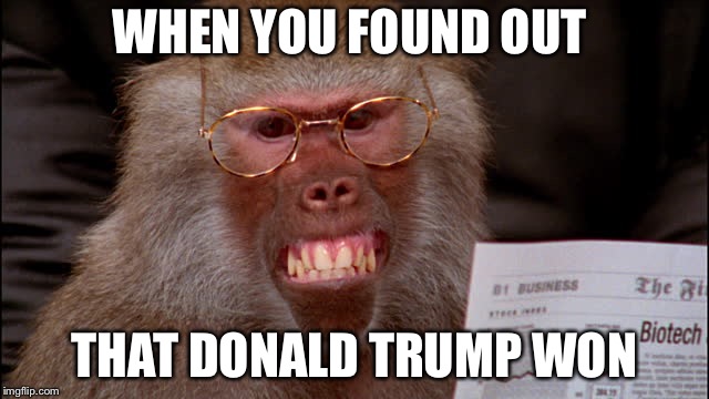 When you found out that Donald trump won | WHEN YOU FOUND OUT; THAT DONALD TRUMP WON | image tagged in memes | made w/ Imgflip meme maker