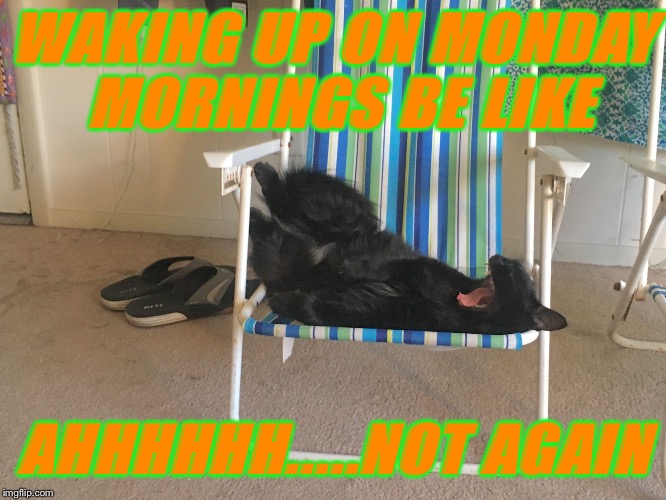 WAKING UP ON MONDAY MORNINGS BE LIKE; AHHHHHH.....NOT AGAIN | image tagged in ahhhhhhh monday again | made w/ Imgflip meme maker