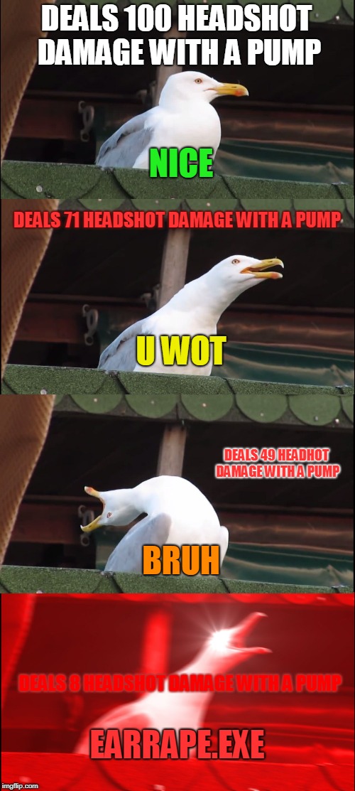 Inhaling Seagull | DEALS 100 HEADSHOT DAMAGE WITH A PUMP; NICE; DEALS 71 HEADSHOT DAMAGE WITH A PUMP; U WOT; DEALS 49 HEADHOT DAMAGE WITH A PUMP; BRUH; DEALS 8 HEADSHOT DAMAGE WITH A PUMP; EARRAPE.EXE | image tagged in memes,inhaling seagull | made w/ Imgflip meme maker